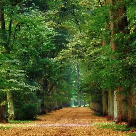 Appartement Apartament Green Wroclaw City Wrocław