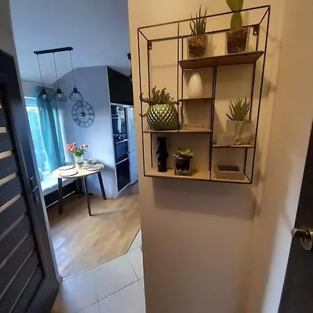 Apartament Green Wroclaw City * Вроцлав