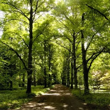 Apartament Green Wroclaw City * Вроцлав