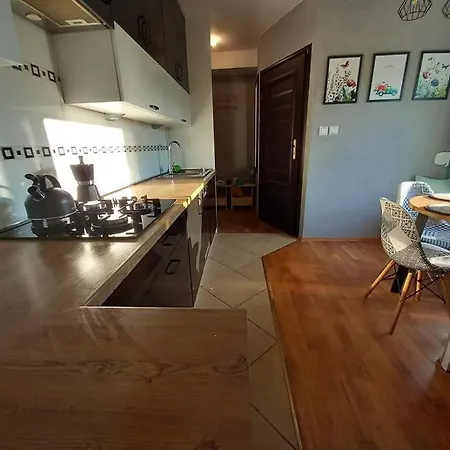 Апартаменти Apartament Green Wroclaw City *