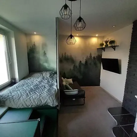 Апартаменти Apartament Green Wroclaw City *