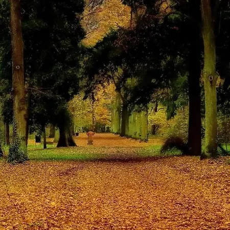 Apartament Green Wroclaw City Апартаменти *